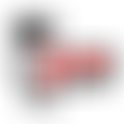 2 weeks left to apply for the 2024 National Team