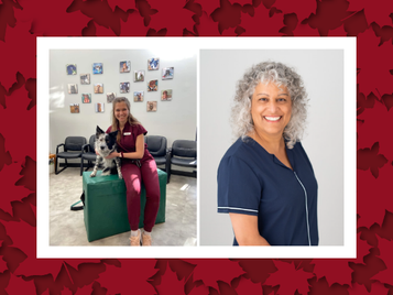 Say Hi! to our Healthcare Providers