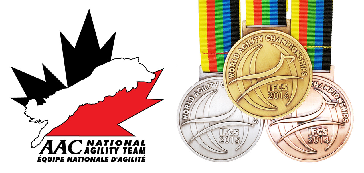 HOME AAC NATIONAL AGILITY TEAM