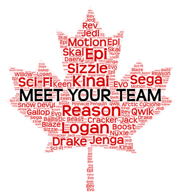 Meet Your Team