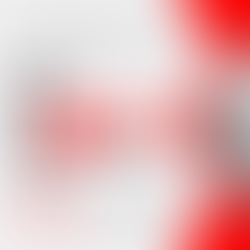 30 Minutes Till Bidding Starts