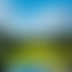 The Country Club at Brookline