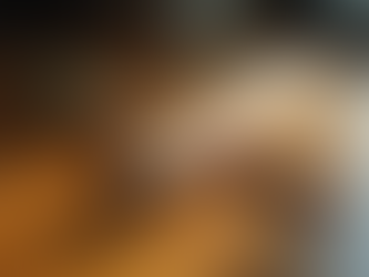 Master the Art of Dining with the Right Chopsticks