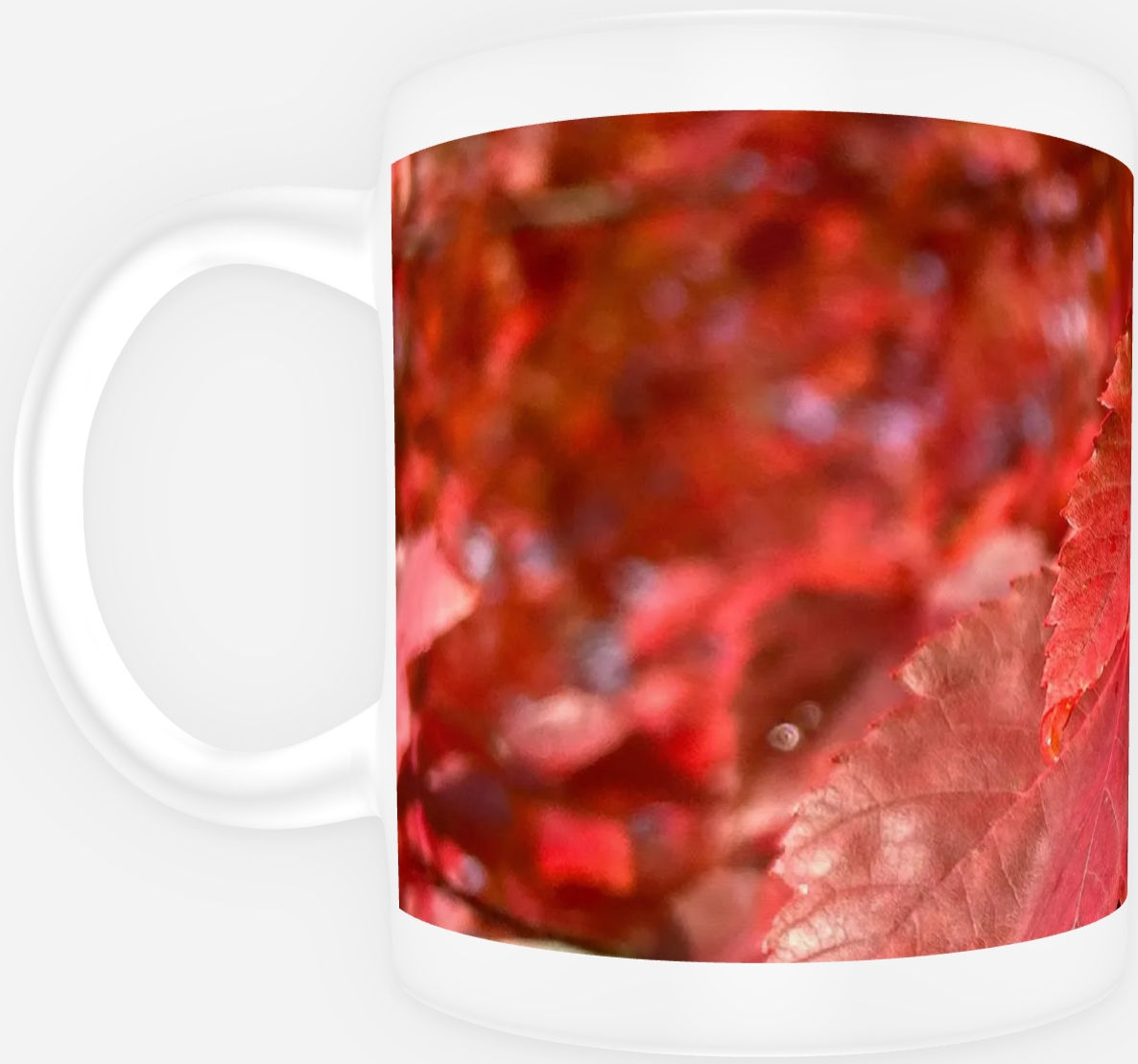 Mug:  Red Autumn