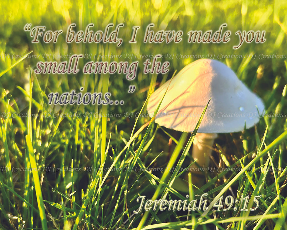 Thumbnail: Print: Jeremiah 49:15