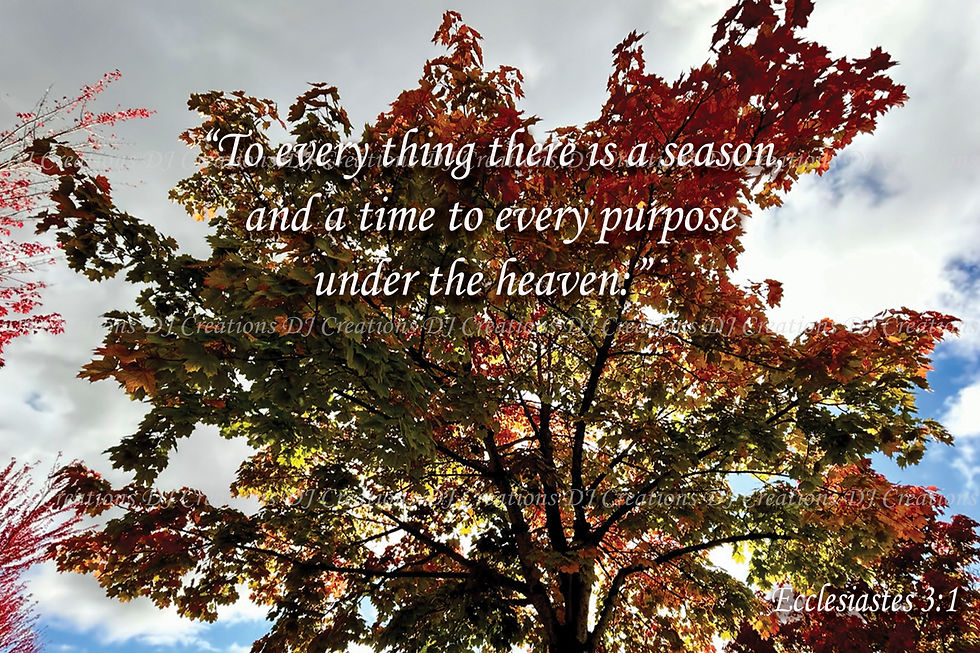 Thumbnail: Print: Ecclesiastes 3:1