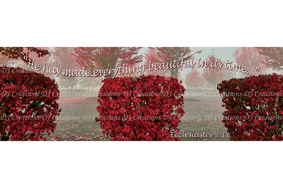 Thumbnail: Print: Ecclesiastes 3:11