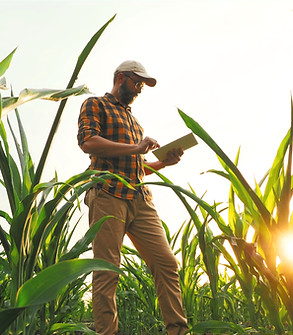Agronomist Farmer_edited.jpg