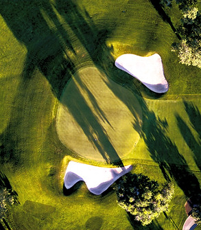 bird's eye photo of grass field_edited.j