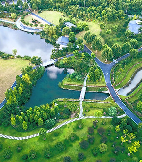 Aerial View of Public Park_edited.jpg