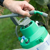 Pesticide