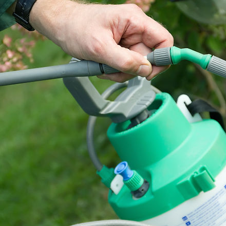 Pesticide