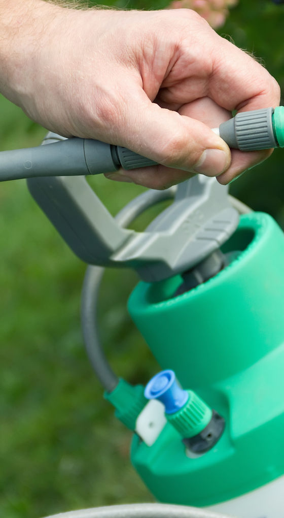 Pesticide