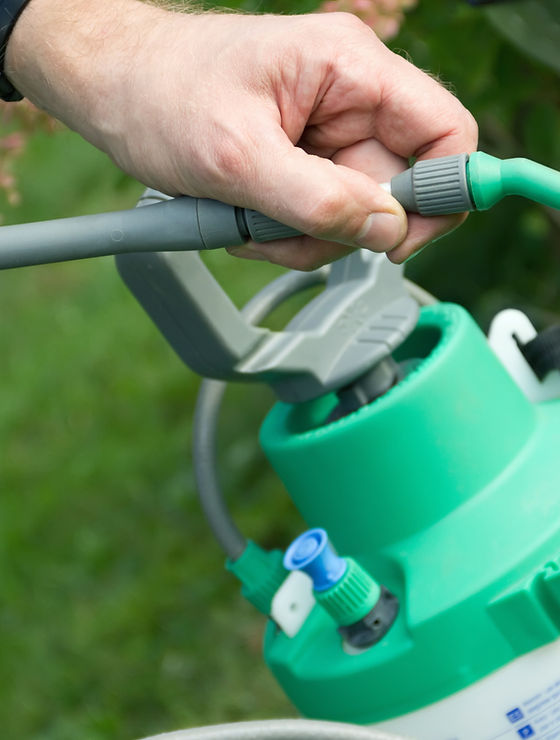 Pesticide