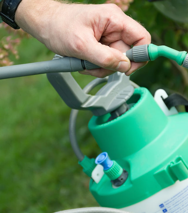 All good pest control top