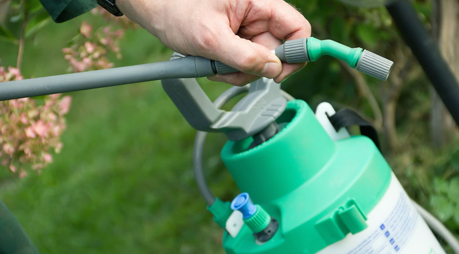 Pesticide