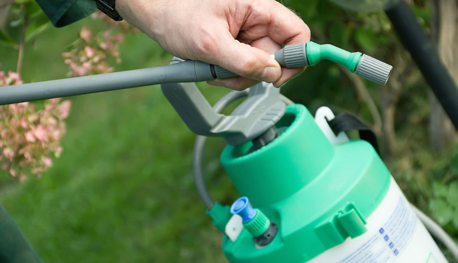 Pesticide