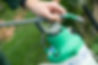 Pesticide