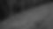 teeple-glade-coneflowers-BW.jpg