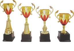 鐘友體育-客製化獎盃