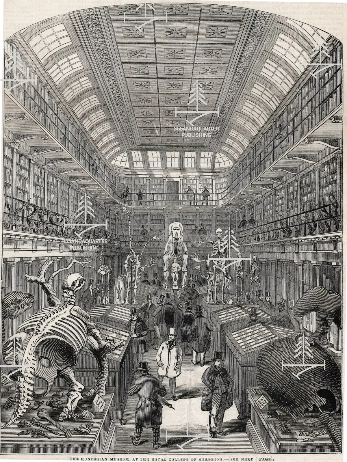 The Hunterian Museum