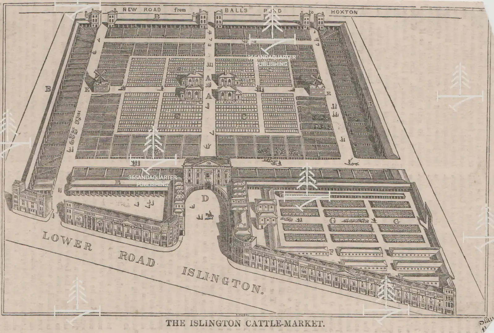 Islington Cattle Market