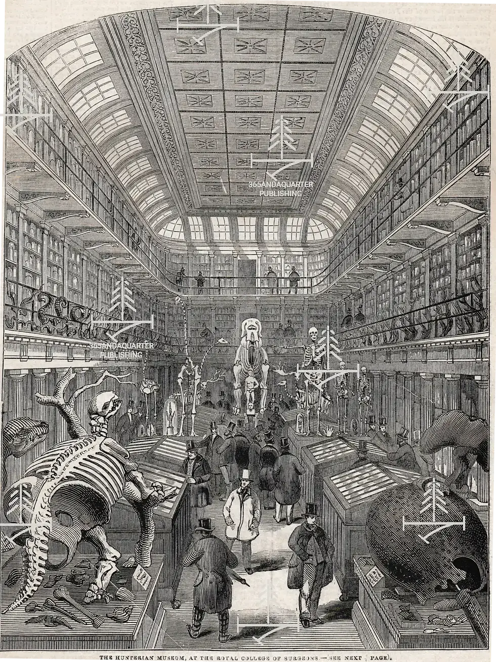 The Hunterian Museum