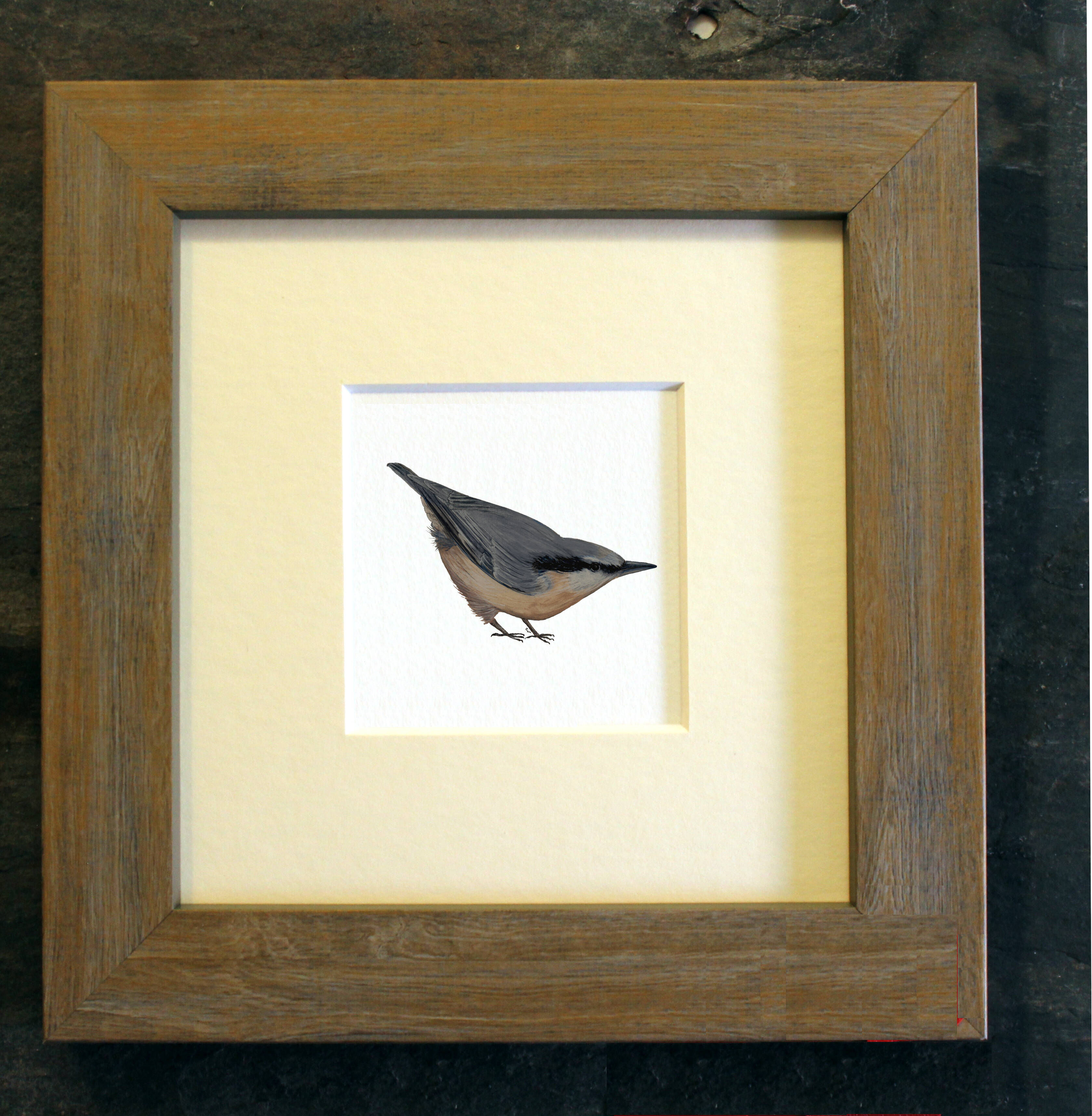 Nuthatch frame