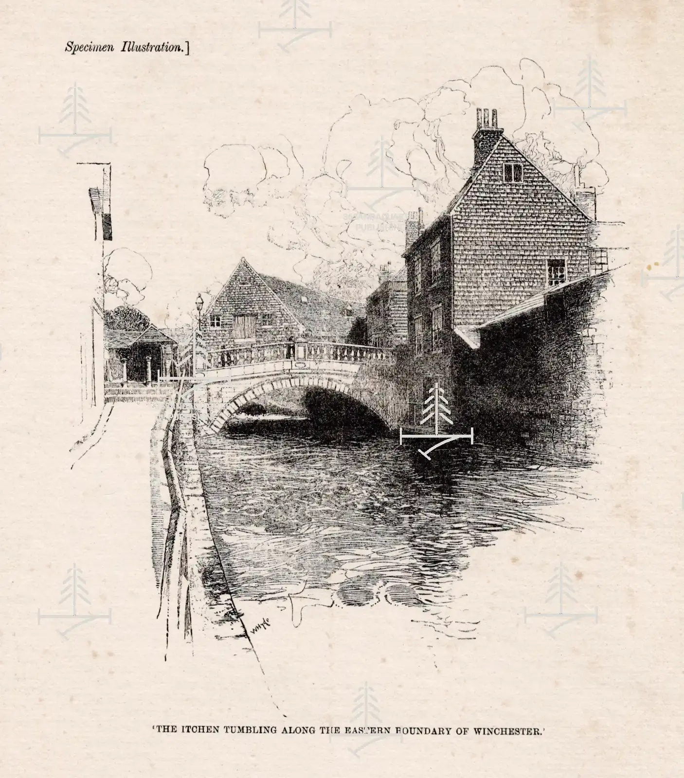 The Tumbling Itchen in Winchester