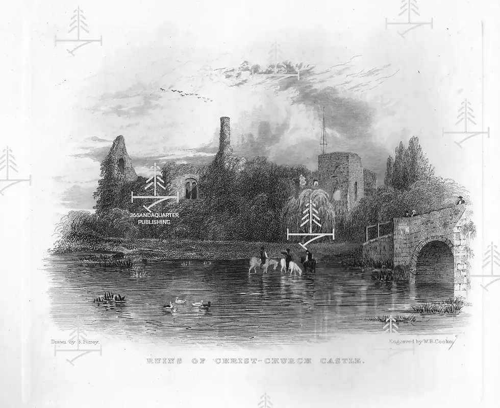 Ruins of Christ-Church Castle