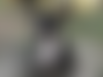 Harlee | Bull Terrier | Hawthorne, CA | In-Training