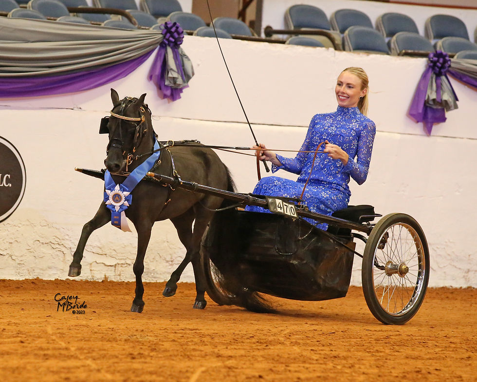 Holly190-002-WCS23