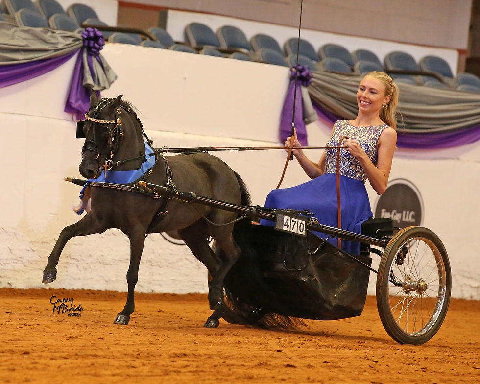 Holly132-007-WCS23