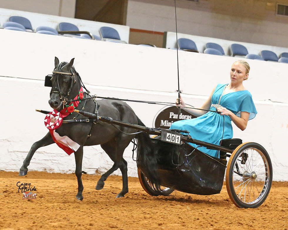 Holly51-029-WCS21