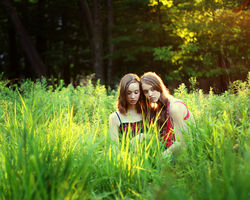 Bound by Blood and Soul, 2010