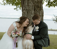 Meredith March Client Testimonial for Morris Veterinary Hospital