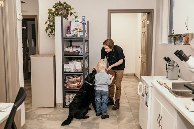 preventative-veterinary-care-wellness-exam-pet.jpg
