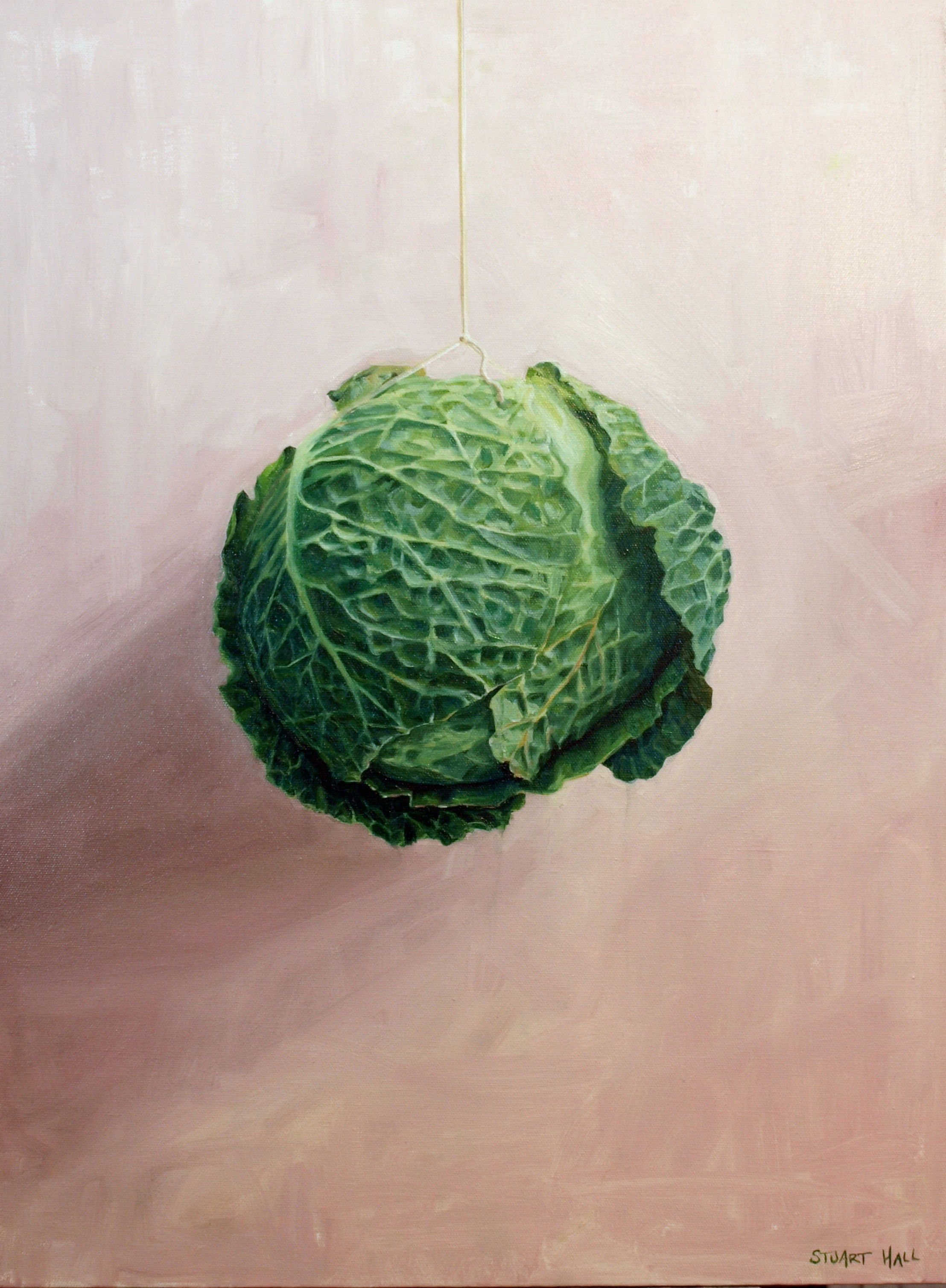 painting of a cabbage