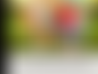 Summer Camps Around Ladera Ranch and South Orange County