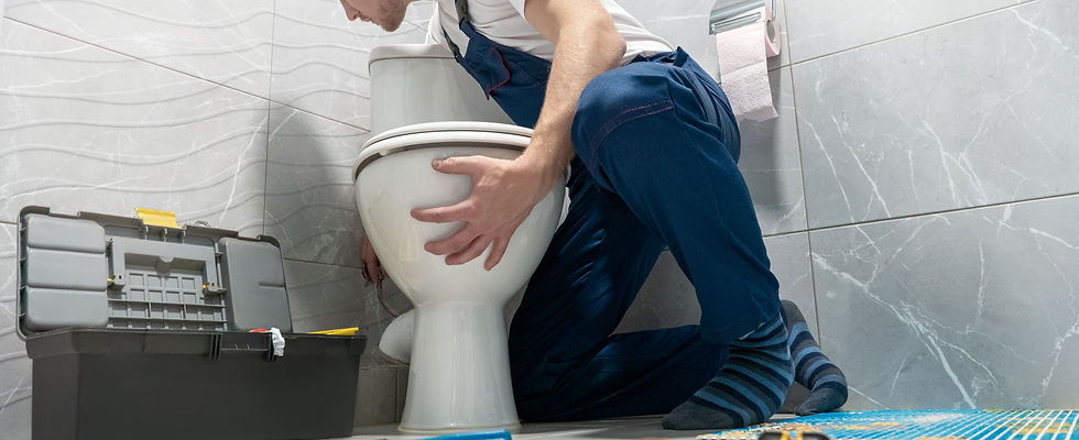 toiletrepair.jpg