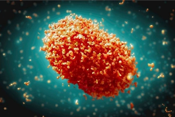 mpox ttb sayfasından.jpg