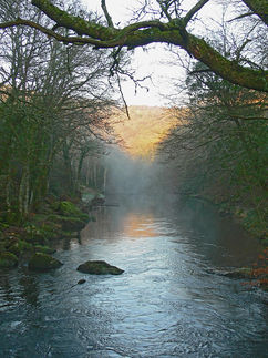 River Teign.jpg