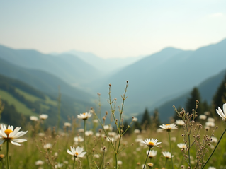 Balades dans les Vosges : Nature et abeilles