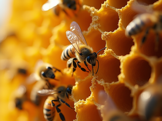La vie fascinante des abeilles dans la ruche