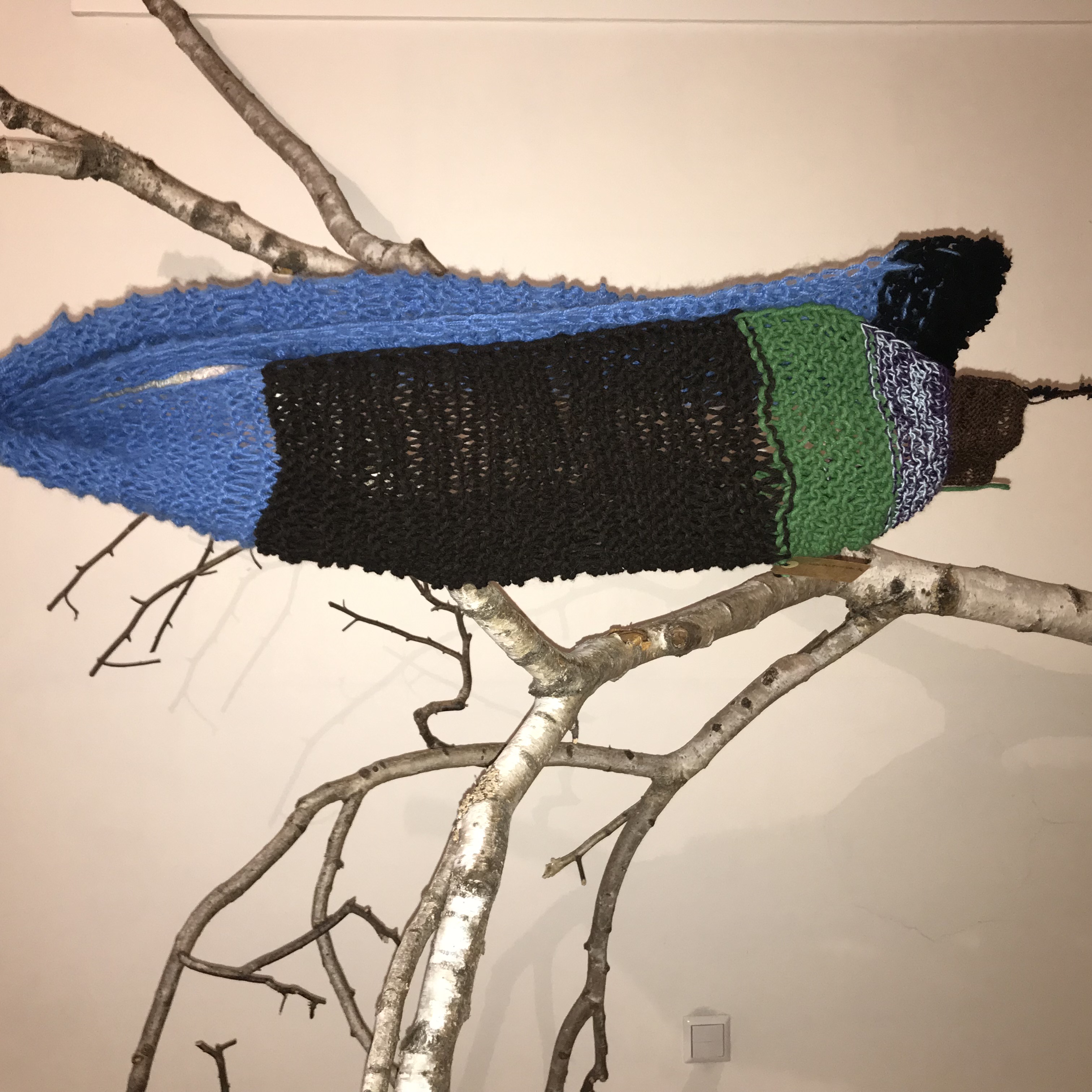 Modell Feuerwerk (12/2019)