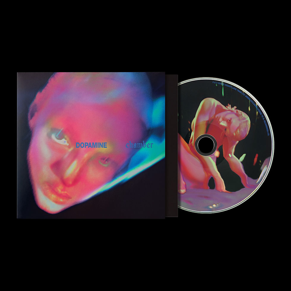 Thumbnail: Fontaines D.C. - Dopamine Chamber - Due For Release 16/10/26