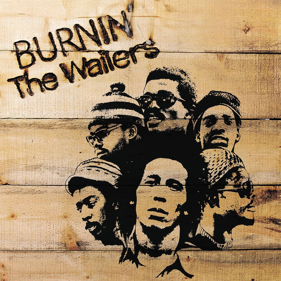 The Wailers - Burnin' Vinyl LP