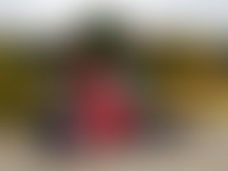 【街歩き同好会】新宿御苑散策と早慶ラグビー応援及び祝勝会