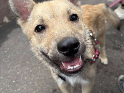 ゆーと（会名：優斗）