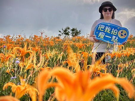 金針花季正盛｜花東包車賞花＋旅拍花絮
